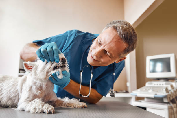Best After-Hours Emergency Dentist in Hagerstown, IN